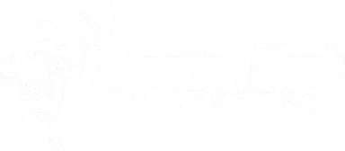 Allegro Lindo strings coaching